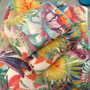 Rare PB Teen vintage floral quilt set